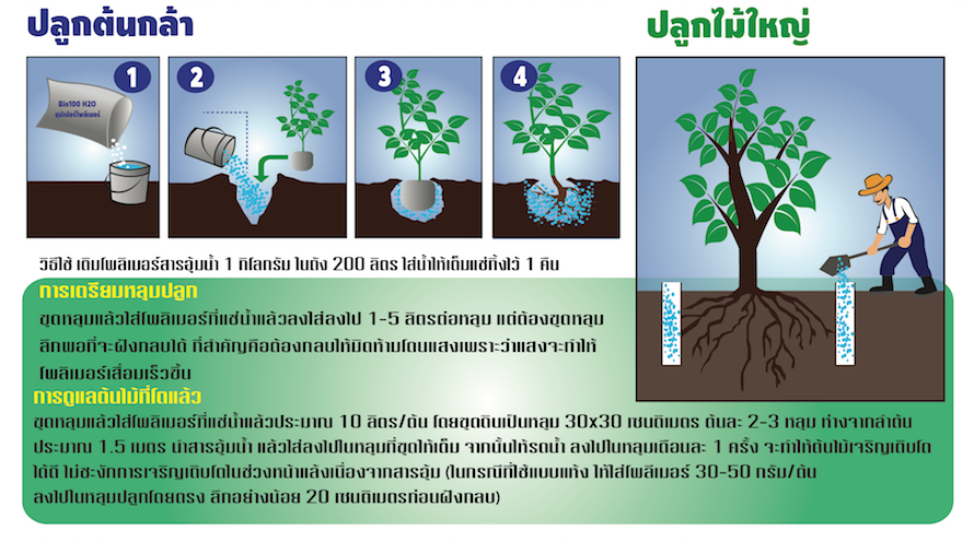 วิธีใช้งานโพลีเมอร์สารอุ้มน้ำ